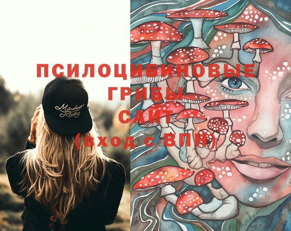 винт Арсеньев